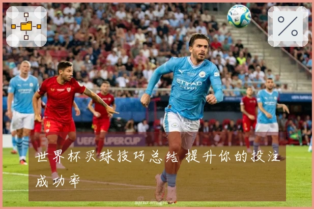 世界杯买球技巧总结 提升你的投注成功率