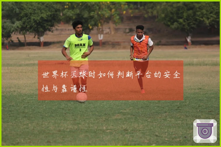 世界杯买球时如何判断平台的安全性与靠谱性
