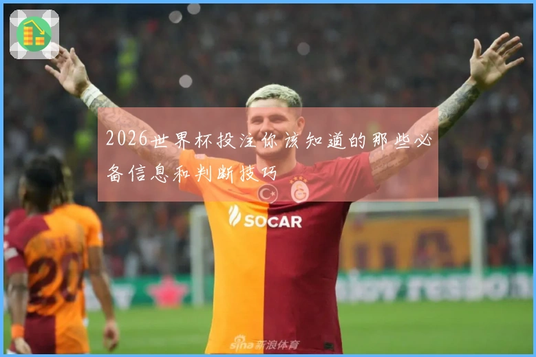 2026世界杯投注你该知道的那些必备信息和判断技巧