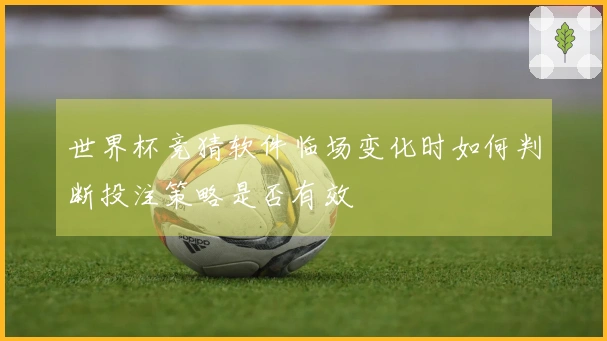 世界杯竞猜软件临场变化时如何判断投注策略是否有效