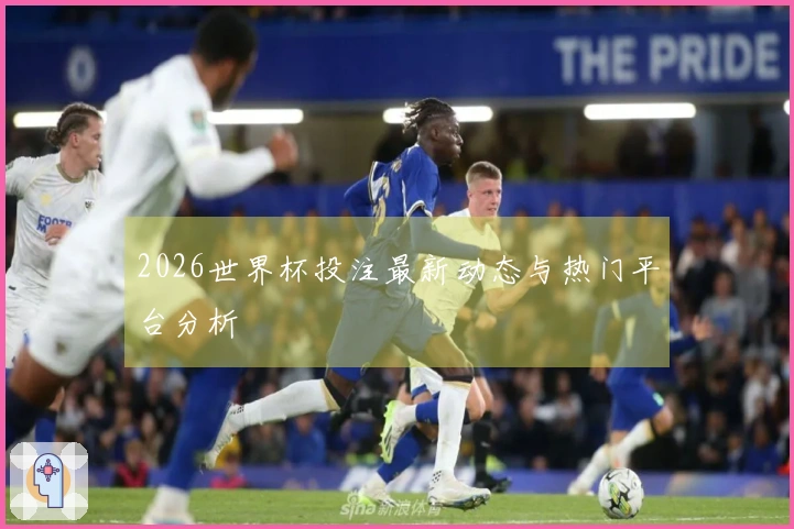 2026世界杯投注最新动态与热门平台分析