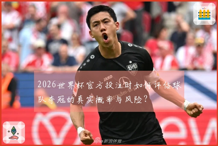 2026世界杯官方投注时如何评估球队夺冠的真实概率与风险？