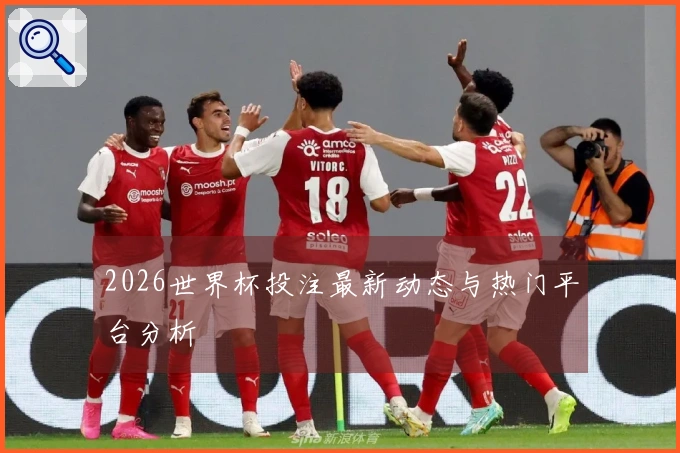 2026世界杯投注最新动态与热门平台分析