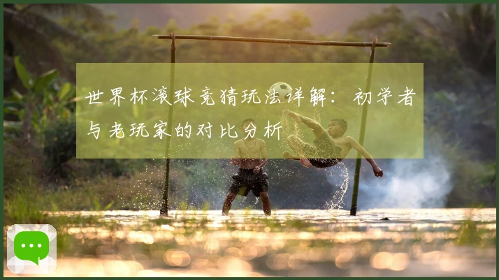 世界杯滚球竞猜玩法详解：初学者与老玩家的对比分析